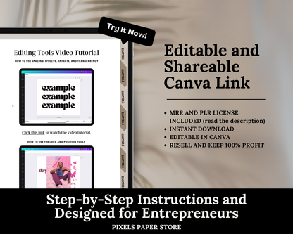 The Ultimate Beginners Canva Course with MRR & PLR