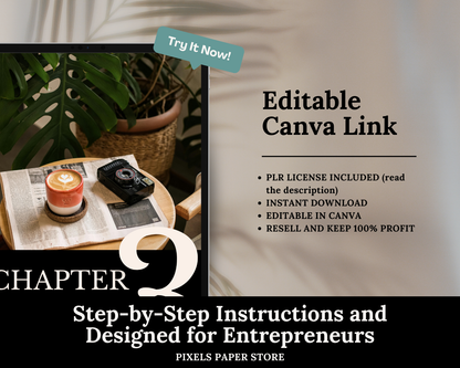 PLR Faceless Instagram Marketing Guide