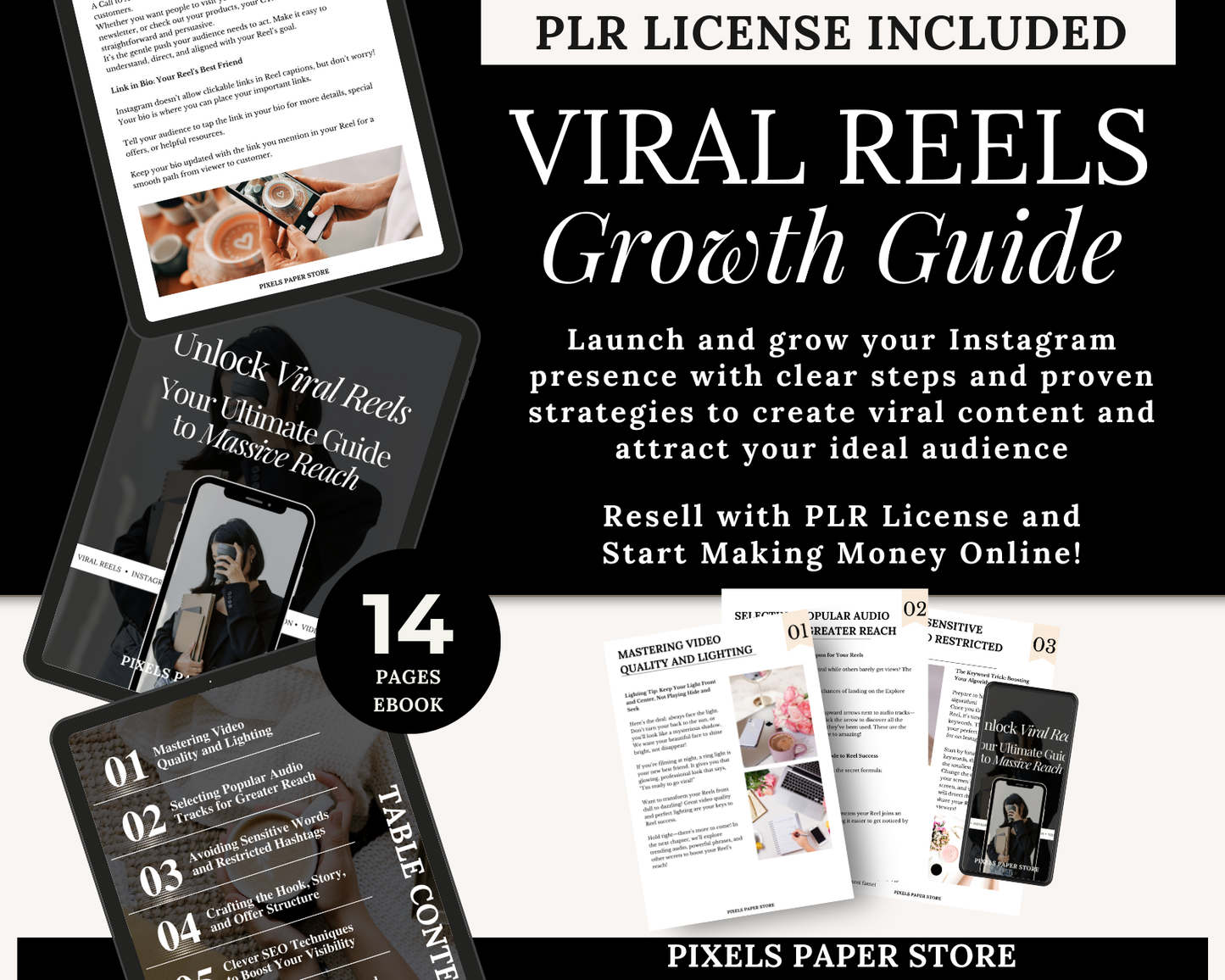 PLR Viral Reels Growth Guide