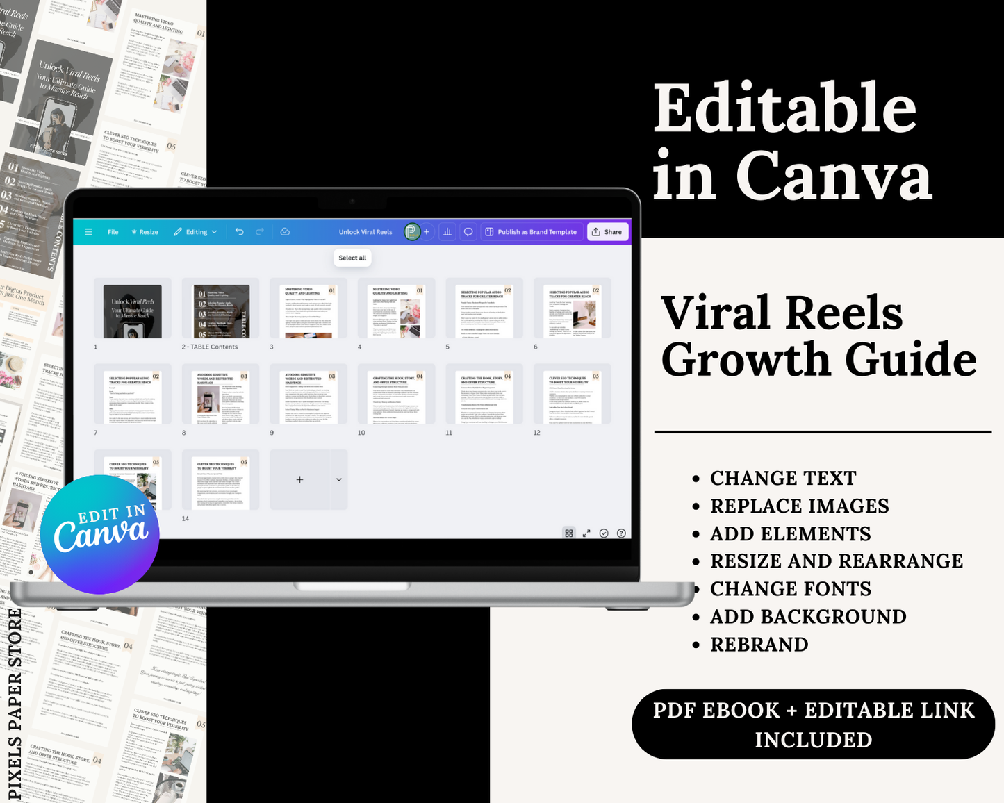 PLR Viral Reels Growth Guide